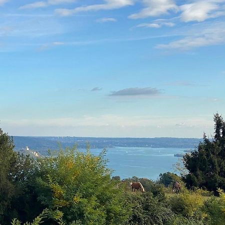 La Garconnierre Del Lago Maggiore Nebbiuno Экстерьер фото